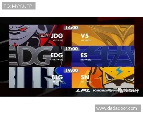 职业联赛分析：V5战队技术实力的全面解读与表现评估