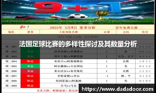 法国足球比赛的多样性探讨及其数量分析