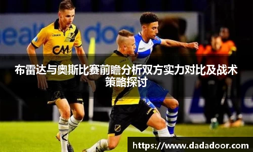 BB贝博登录入口
