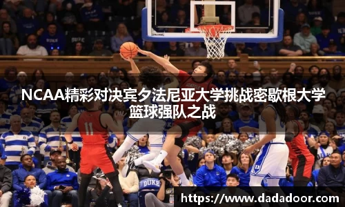 BB贝博
