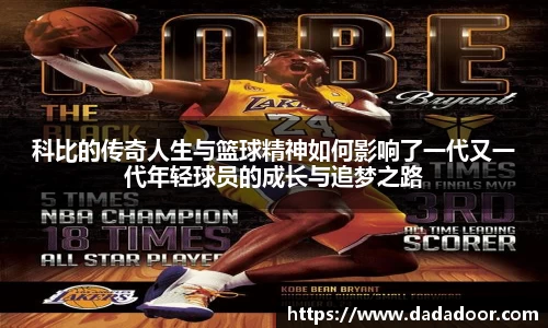 BB贝博登录入口