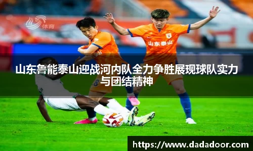 BB贝博登录入口